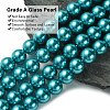 Eco-Friendly Glass Pearl Beads Strands HY-A008-14mm-RB073-3