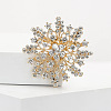 Alloy and Clear Glass Rhinestone Christmas Snowflake Brooch for Women PW-WG5C554-01-2