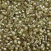 MIYUKI Delica Beads SEED-MY11-DB1766-3