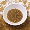 MIYUKI Delica Beads SEED-MY11-DB0119-2