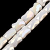 AB Color Plated Glass Beads Strands EGLA-P051-06B-B07-1