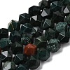 Natural Bloodstone/Heliotrope Beads Strands G-Z119-A16-03-3