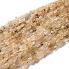 Natural Gold Rutilated Quartz Beads Strands G-I389-A25-2