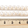 Natural Cultured Freshwater Pearl Beads Strands PEAR-C003-13F-X-5