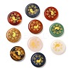 Natural Green Aventurine/Rose Quartz/Quartz Crystal/Carnelian/Lapis Lazuli/Red Jasper/Tiger Eye Cabochons G-C158-02-1