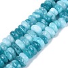 Dyed Natural Quartz Beads Strands G-N359-16A-04-2
