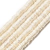 Electroplated Shell Pearl Beads Strands BSHE-B009-E01-2x7mm-1