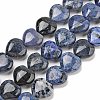 Natural Dumortierite Beads Strands G-H005-C15-02-1
