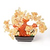 Natural Yellow Quartz Chips Money Tree Bonsai Display Decorations DJEW-B007-08C-3