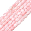 Dyed Natural Freshwater Shell Beads Strands SH-CBA2978-06D-1