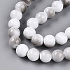Baking Paint Glass Beads Strands DGLA-N013-10mm-01-3