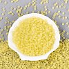 FGB Frosted Transparent Glass Seed Beads SEED-N013-02A-02-2