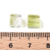 Baking Paint Transparent Glass Beads DGLA-N005-01A-06-4