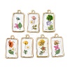 Transparent Resin Pendants RESI-A050-10A-G-1