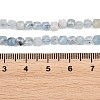 Natural Devil Blue Aquamarine Beads Strands G-Z163-A01-4x4mm-5