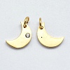 316 Surgical Stainless Steel Pendants STAS-J038-10G-2