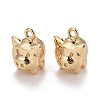 Rack Plating Brass Pendants KK-E267-05LG-1