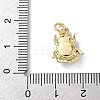 Insect Themes Brass Enamel Charms KK-B155-01B-02G-3