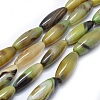 Natural Agate Beads Strands G-I245-11I-1