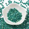 Glass Seed Beads X1-SEED-H002-A-A617-2