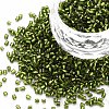 Glass Bugle Beads SEED-S032-08A-55A-1