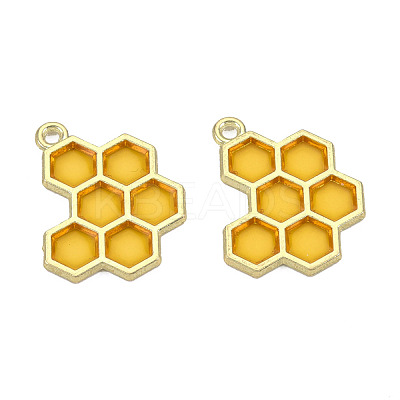 Epoxy Resin Pendants X-RESI-Q213-001-NR-1