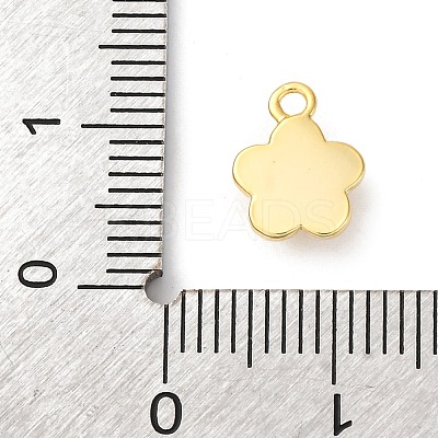 Brass Micro Pave Cubic Zirconia Charms LS-KK-D371-04A-G-1