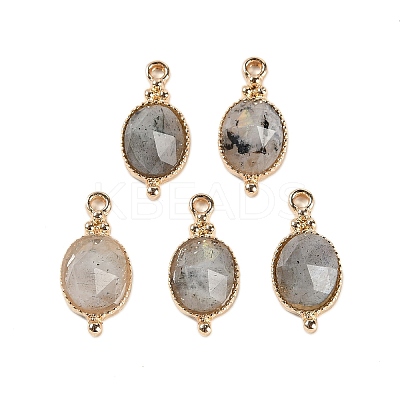 Natural Labradorite Faceted Pendans KK-L218-003G-03-1