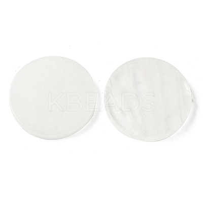 Natural Quartz Crystal Coaster G-P462-03B-01-1