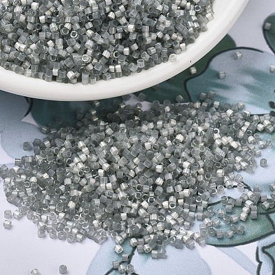 MIYUKI Delica Beads X-SEED-J020-DB1817-1