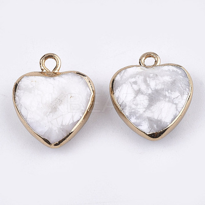 Electroplate Natural Howlite Pendants X-G-T112-03J-1