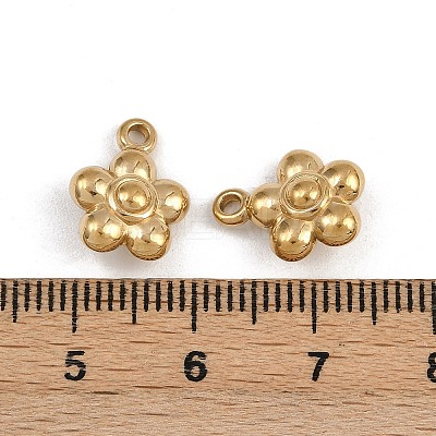 304 Stainless Steel Charms STAS-L022-559G-1