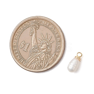 Natural Cultured Freshwater Pearl Rice Charms PALLOY-JF04868-1