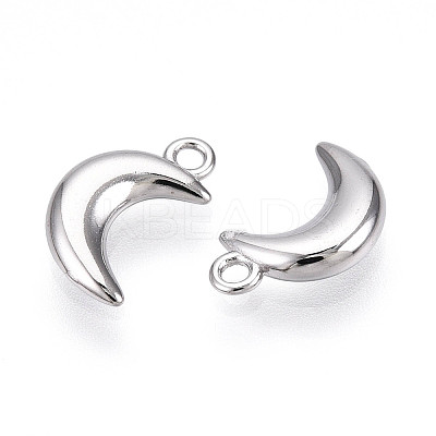 304 Stainless Steel Charms STAS-N109-138P-1