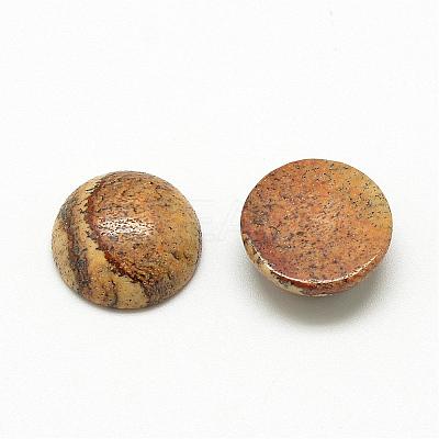 Natural Picture Jasper Cabochons G-R416-8mm-42-1