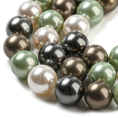 Polished Shell Pearl Bead Strands BSHE-F013-07D-1