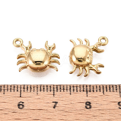 304 Stainless Steel Pendants STAS-T069-36G-1