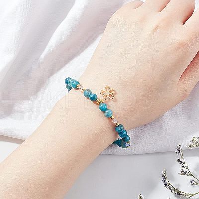 Natural Apatite Beads Strands G-OC0002-60A-1