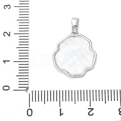 Brass Acrylic Pendants KK-D357-15P-1