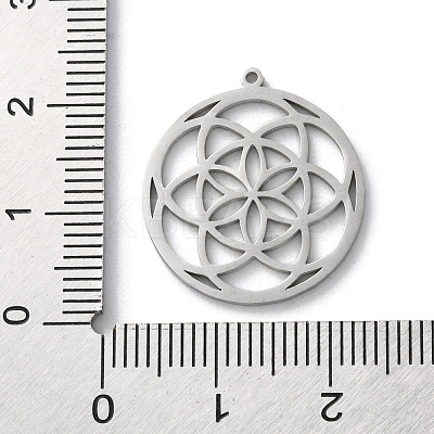 Anti-Tarnish 304 Stainless Steel Pendants LS-STAS-S149-02P-1