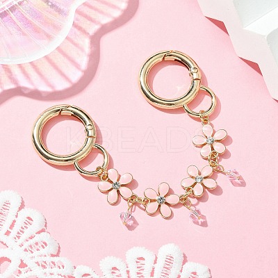Zinc Alloy Spring Gate Rings Bag Extension Chains AJEW-BA00142-02-1