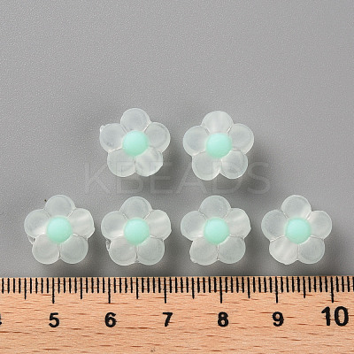 Transparent Acrylic Beads X-TACR-S152-06C-SS2111-1