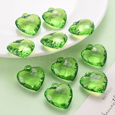 Transparent Acrylic Pendants TACR-T024-03B-925-1