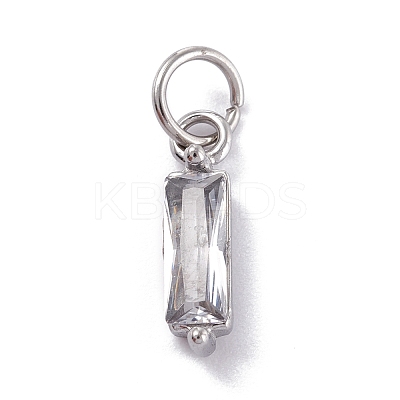 304 Stainless Steel Cubic Zirconia Pendants STAS-E487-21P-04-1