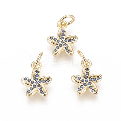 Brass Micro Pave Cubic Zirconia Charms ZIRC-F112-02G-1