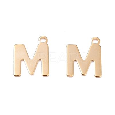 201 Stainless Steel Charms LS-STAS-C021-06G-M-1