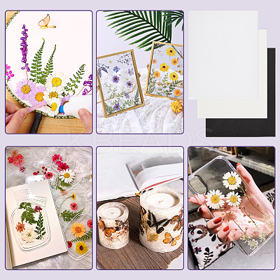 Bloting Paper Set DIY-WH0632-21B-1
