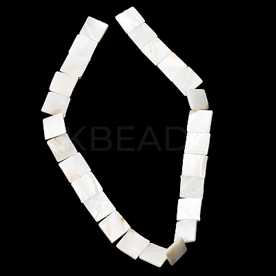 Natural Freshwater Shell Beads Strands SHEL-A006-10A-1
