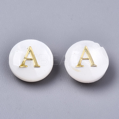 Natural Freshwater Shell Beads SHEL-S266-12-1
