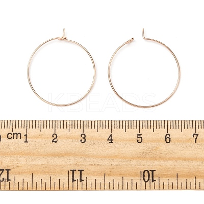 Ion Plating(IP) 316L Surgical Stainless Steel Hoop Earring Findings STAS-D164-01RG-1